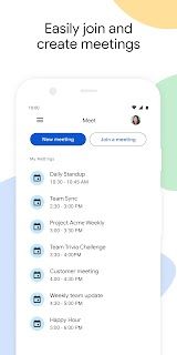 Google Meet screenshot