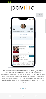 Pavillio screenshot