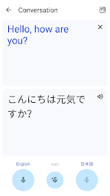 Google Translate screenshot